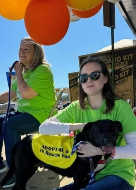 Fostering new beginnings for rescued animals