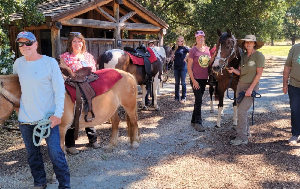 Helping people grow and heal with horses 2