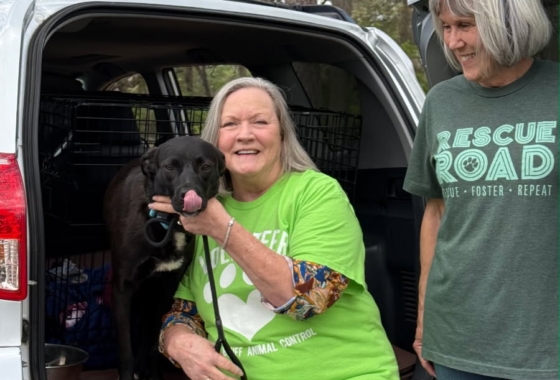 Fostering new beginnings for rescued animals 3