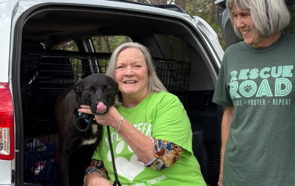 Fostering new beginnings for rescued animals 3